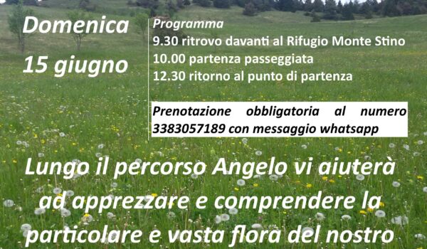 angelo-OK-600x350